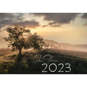 2023 Landscape