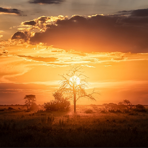 BWA / Botswana