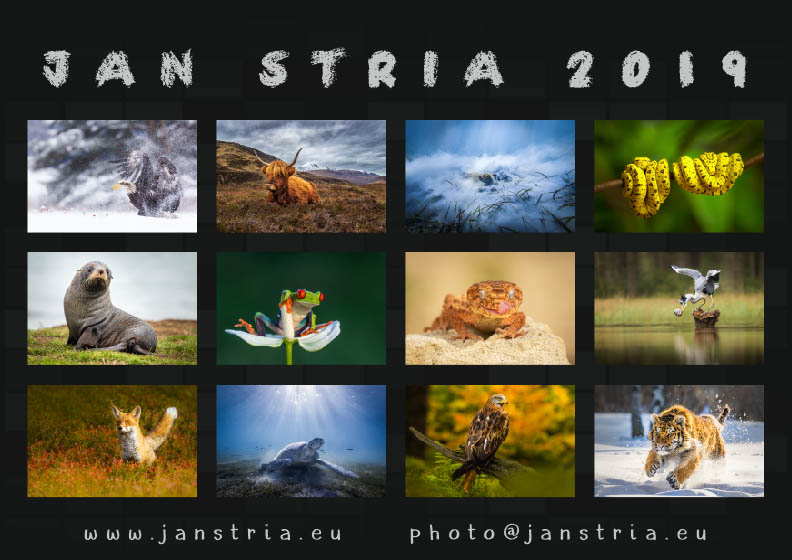 2019 Zadní strana