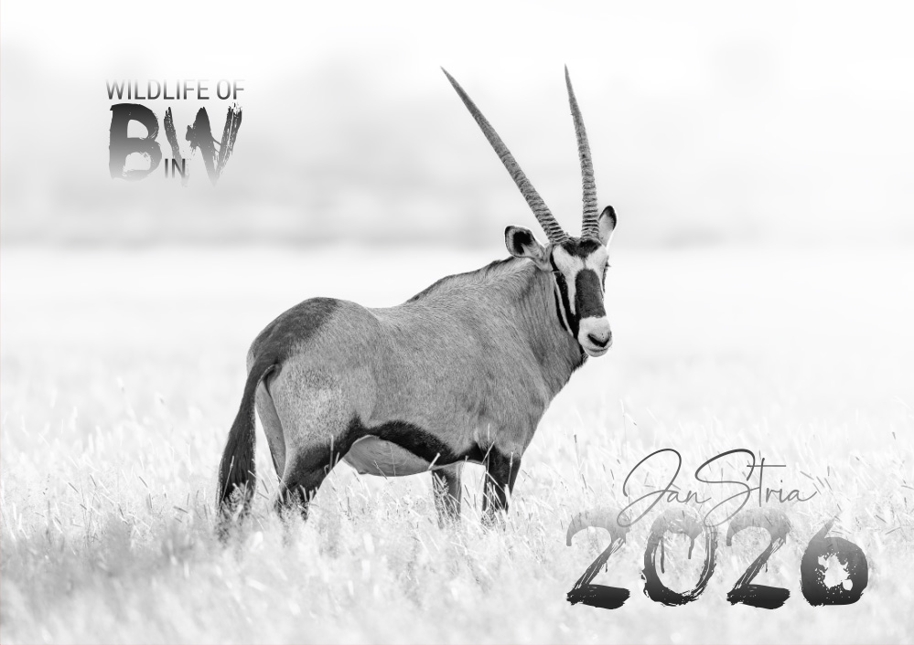 2026 Přední strana