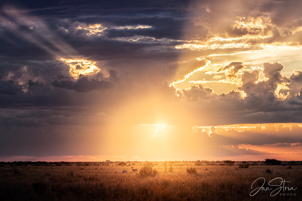 Botswana Sunset