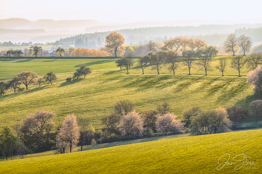 Spring in Podkrkonoší