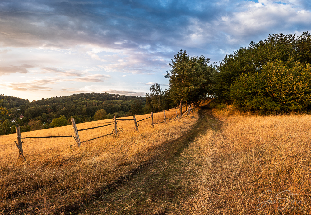 Summer evening