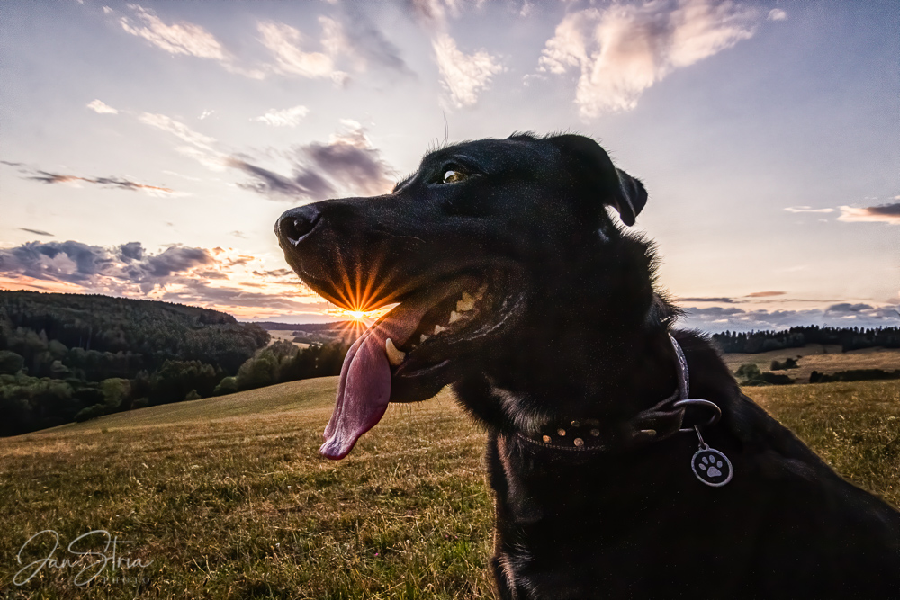 Tasting the Sun