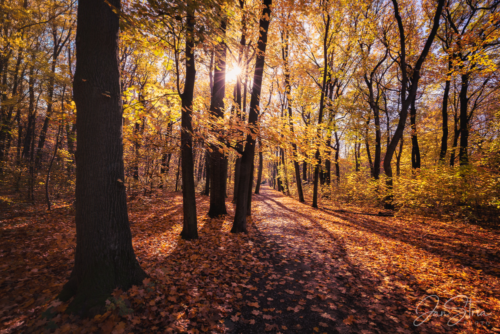 Autumn Colors