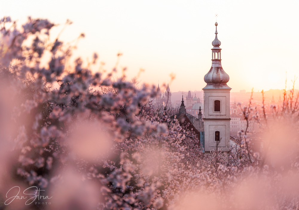 Early Spring in Prague