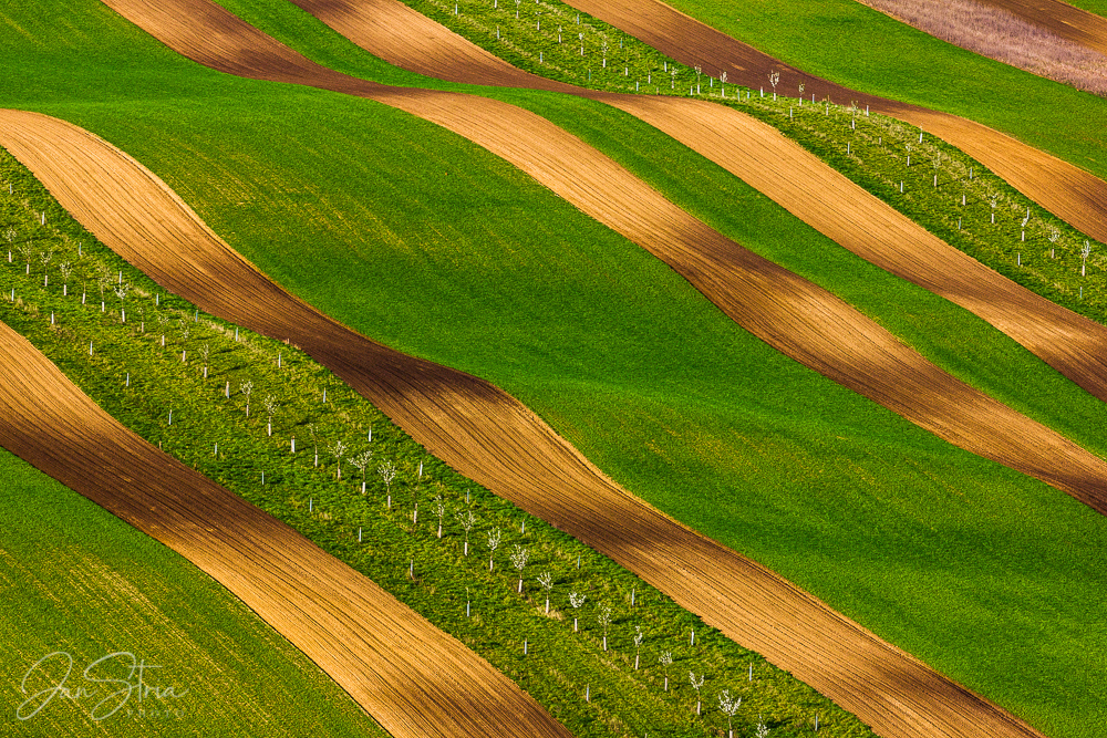 Stripes of Southern Moravia