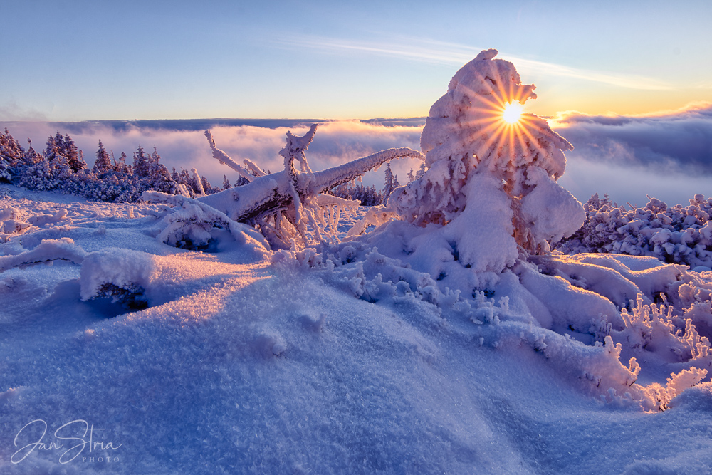 The First Snow 