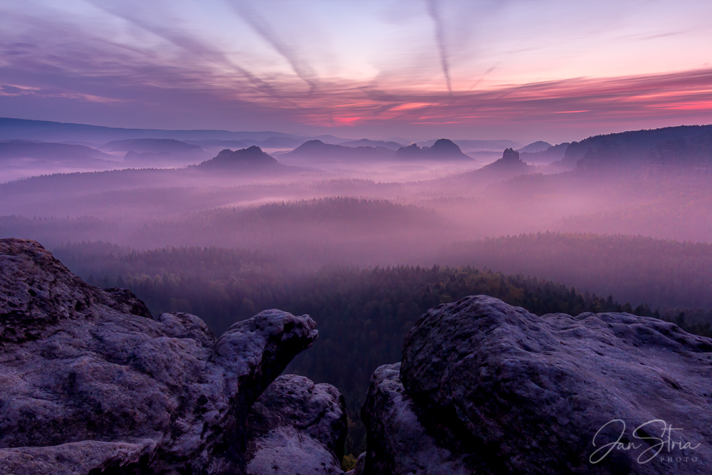 Morning in Velvet