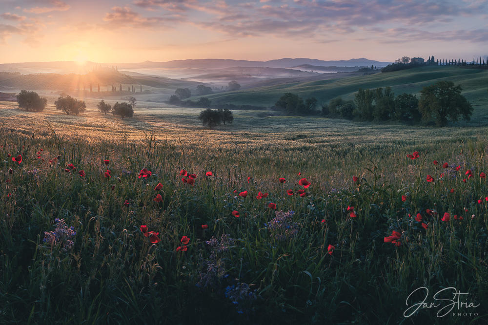 Tuscany Sunrise