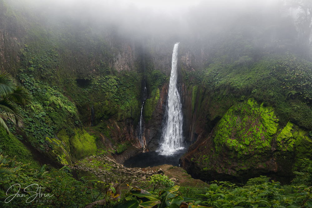 In the heart of rainforest