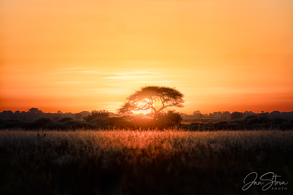 Začátek dne na poušti