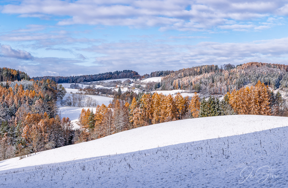 Early winter