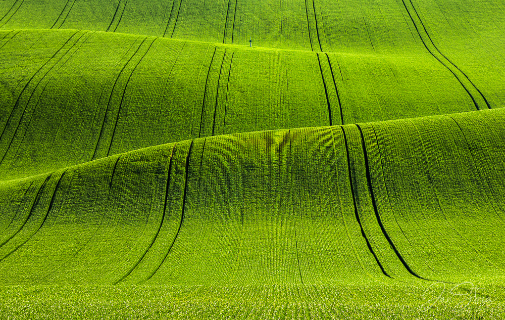 Green Waves