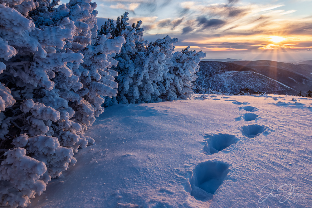 Winter Sunset