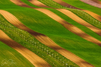 Stripes of Southern Moravia
