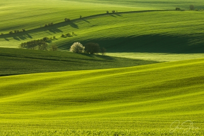 Waves of Southern Moravia