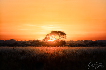 A new day begins in the desert